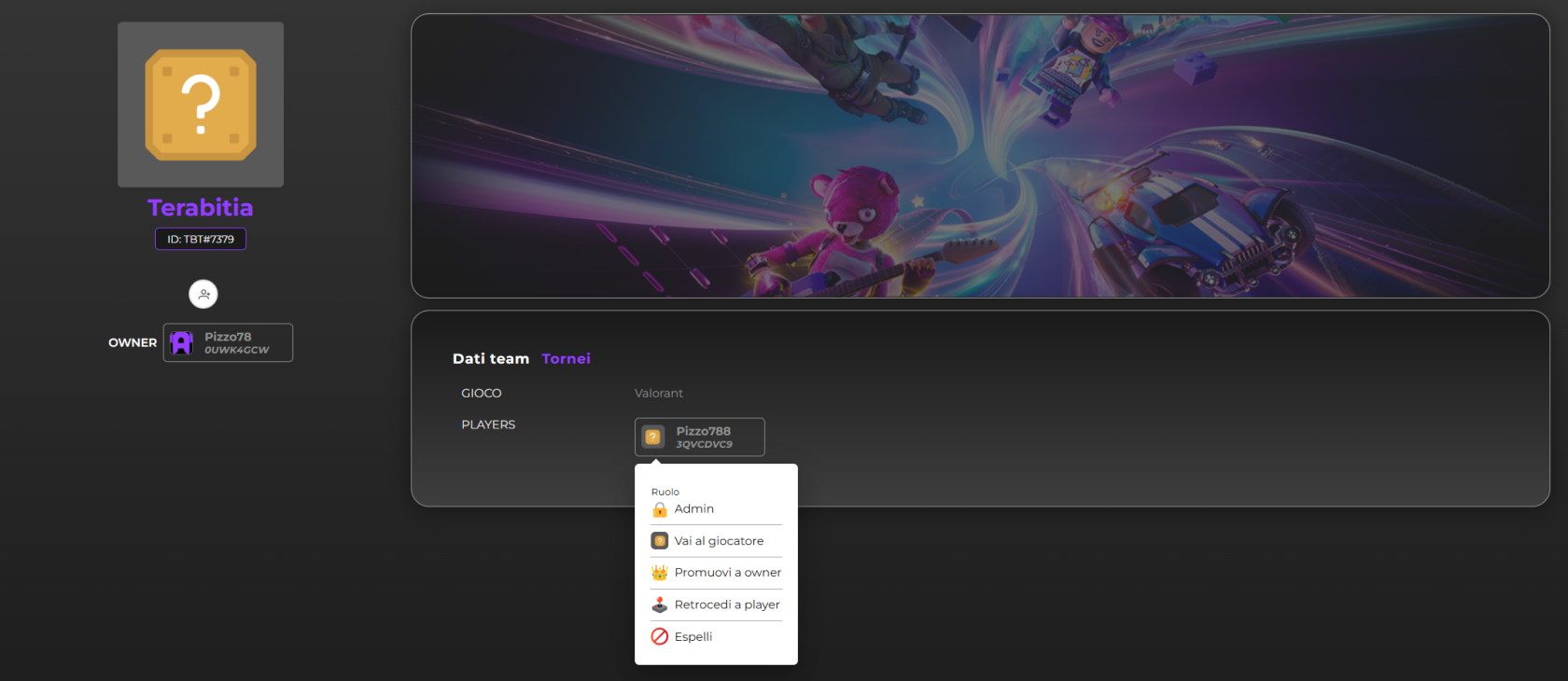 team admin roles.png